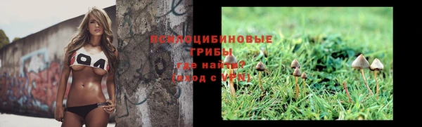спиды Ельня