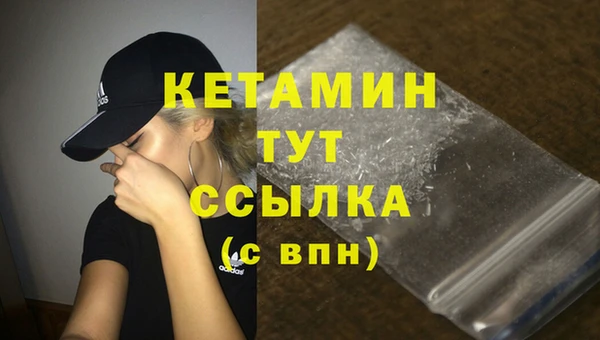 спиды Ельня