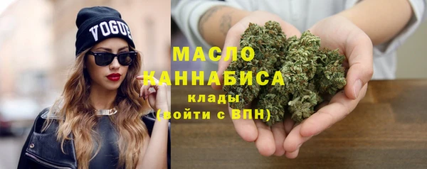 спиды Ельня