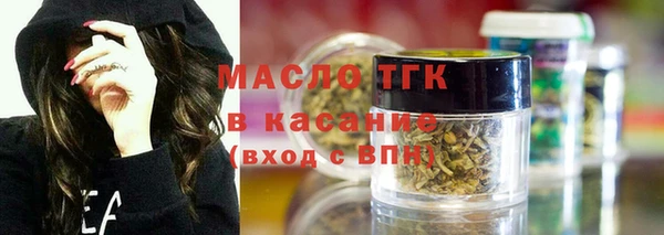 молекула духа Елабуга