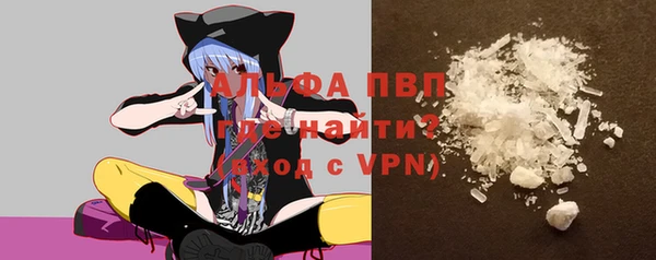 молекула духа Елабуга