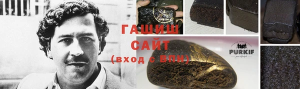 спиды Ельня