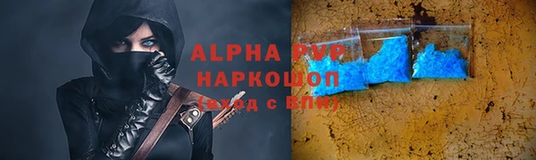 спиды Ельня