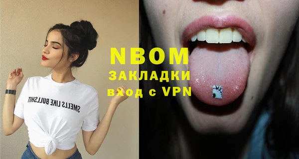 молекула духа Елабуга