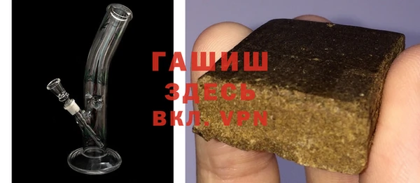 спиды Ельня