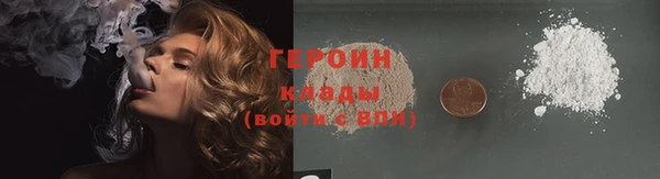 спиды Ельня