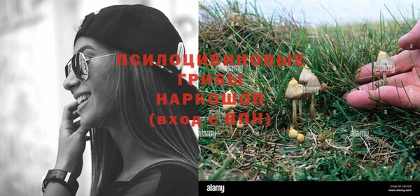 молекула духа Елабуга