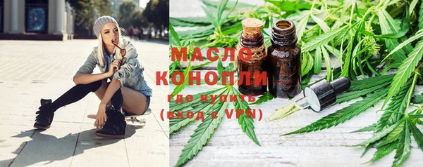 молекула духа Елабуга