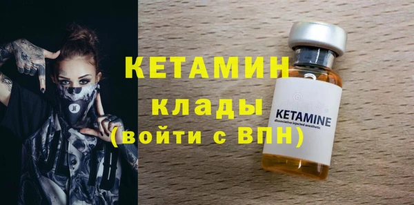 спиды Ельня