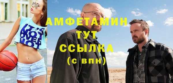 спиды Ельня