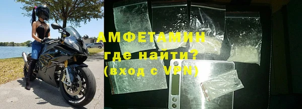 спиды Ельня