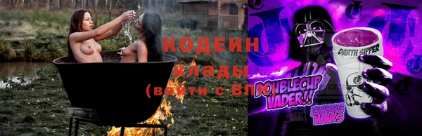 спиды Ельня