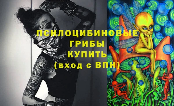 спиды Ельня