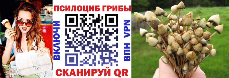 это как зайти  Знаменск  Галлюциногенные грибы Psilocybine cubensis  магазин продажи наркотиков 