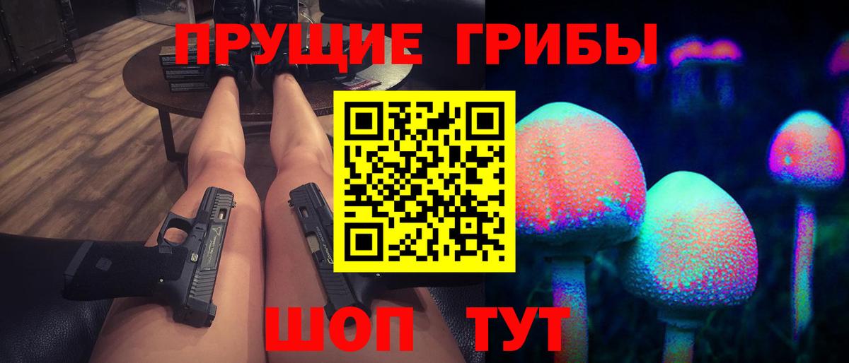 Галлюциногенные грибы Psilocybine cubensis  Вход с VPN  Знаменск  Псилоцибиновые грибы прущие грибы 